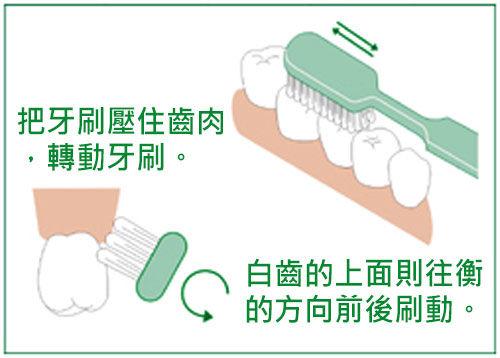 蛀牙和正確刷牙方法 蛀牙和正確刷牙方法