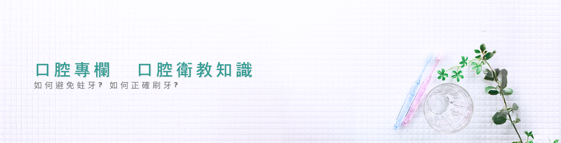 口腔保健專欄 口腔保健專欄